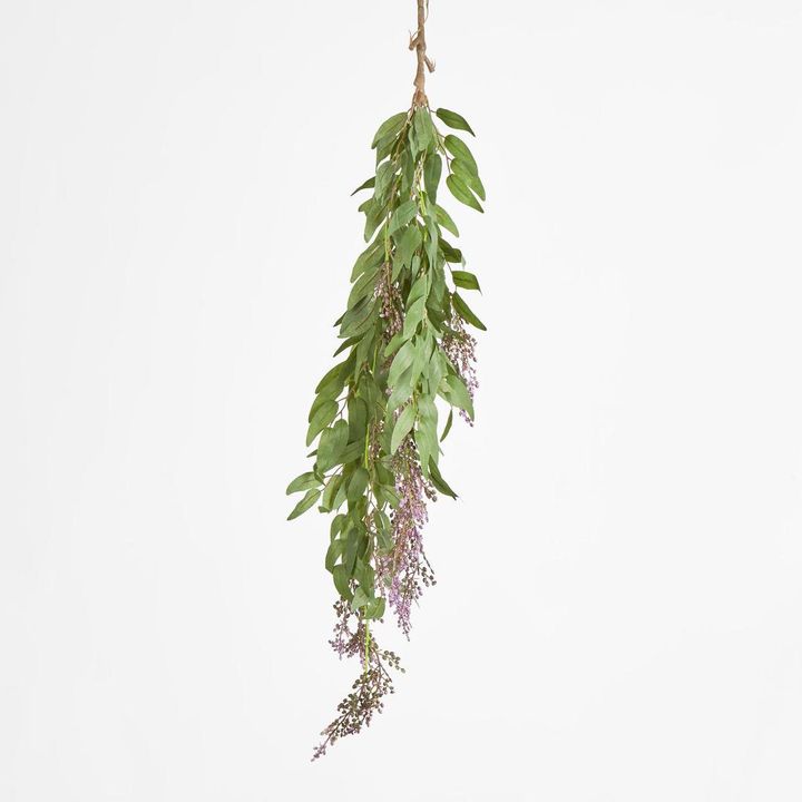 Hanging flat leaf variagated