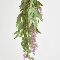 Hanging flat leaf variagated