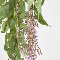Hanging flat leaf variagated