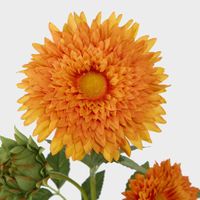 Sunflower Spray With 3 Flowers Orange