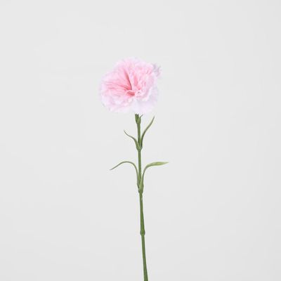 Real Touch Carnation Stem Pink