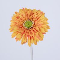 Gerbera Stem Orange