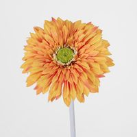 Gerbera Stem Orange