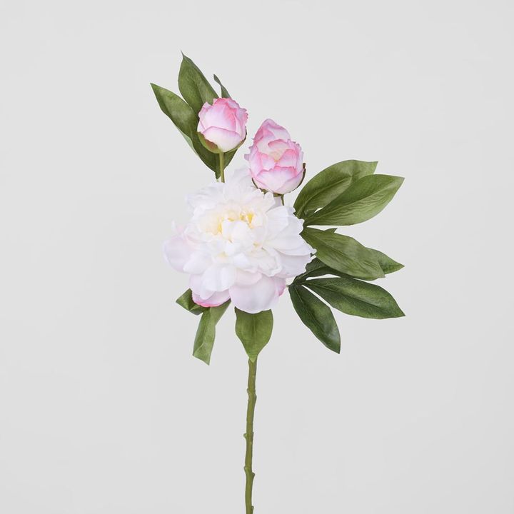 Peony With Two Buds Stem Dark Pink