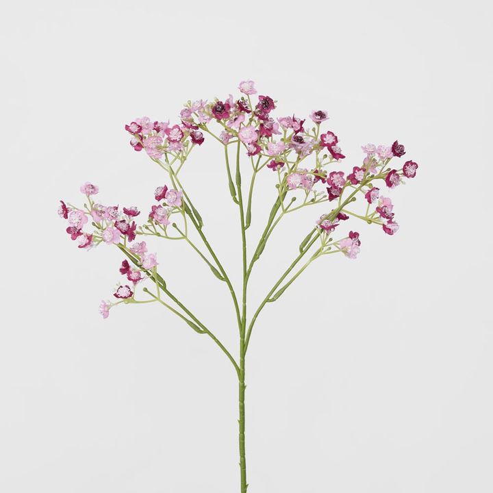 Baby's Breath Stem Burgundy