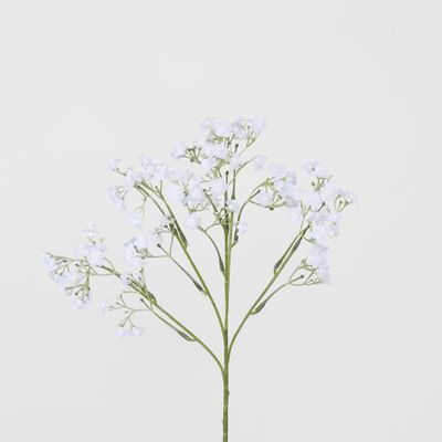 Baby's Breath Stem White