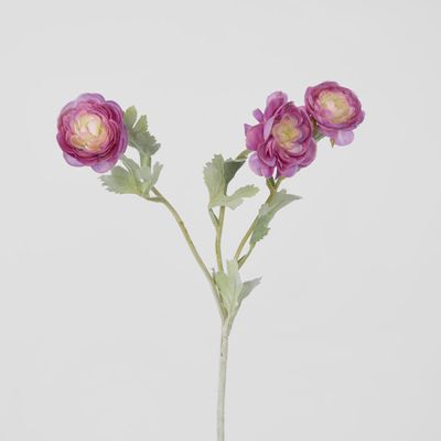 Ranunculus Stem With 3 Heads Pink