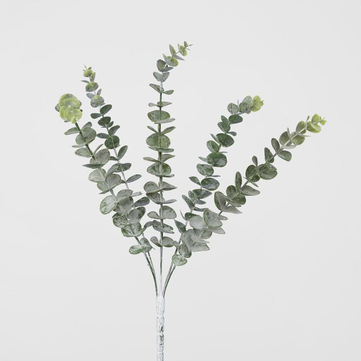 Eucalyptus Spray Grey Green