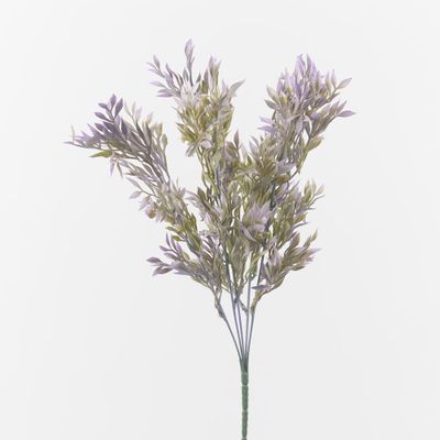 Lavender Tipped Wild Grass Bush