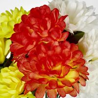 Chrysanthemum Bush 3 Colours Box of 60