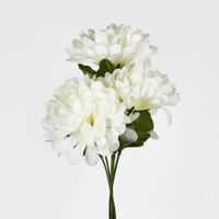 Chrysanthemum Bush 3 Colours Box of 60