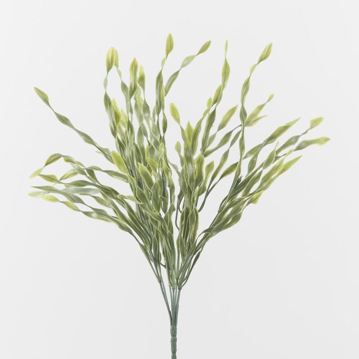 Wavy Vanilla Grass