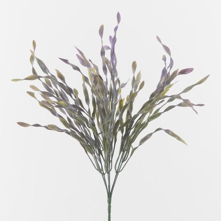 Lavender Tipped Grass