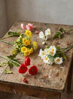 Mini Poppy Spray Pink