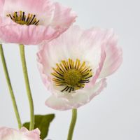 Mini Poppy Spray Light Pink