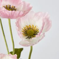 Pink Poppy Spray 3 Flowers 1 bud