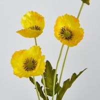 Mini Poppy Spray Yellow