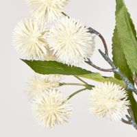 White Burdock Spray