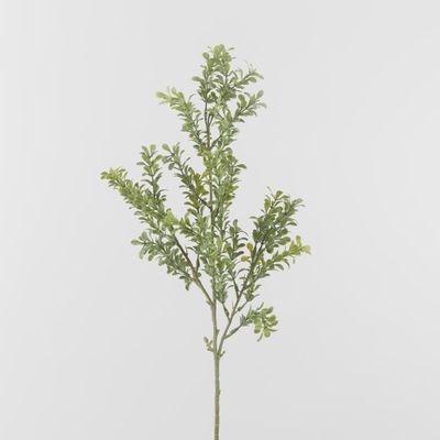 Light Green Boxwood Spray