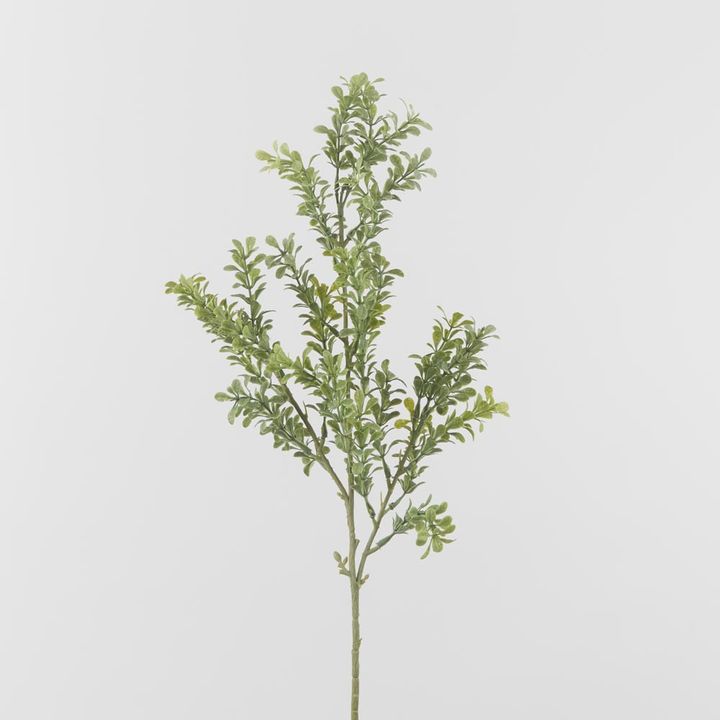 Light Green Boxwood Spray