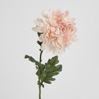 76cm Chrysanthemum