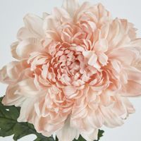 Chrysanthemum 76cm Light Pink