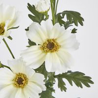 Cosmos Spray 85cm White