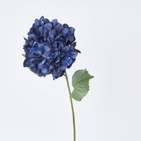 Single Hydrangea with 2 Leaves Blue