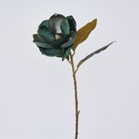 Single Magnolia with 2 Leaves Green