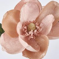 Single Magnolia with 2 Leaves Peach