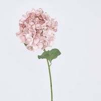 Single Hydrangea with 2 Leaves Pink