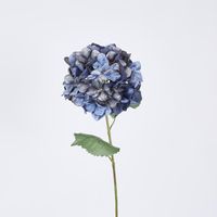 Single Hydrangea with 2 Leaves Blue