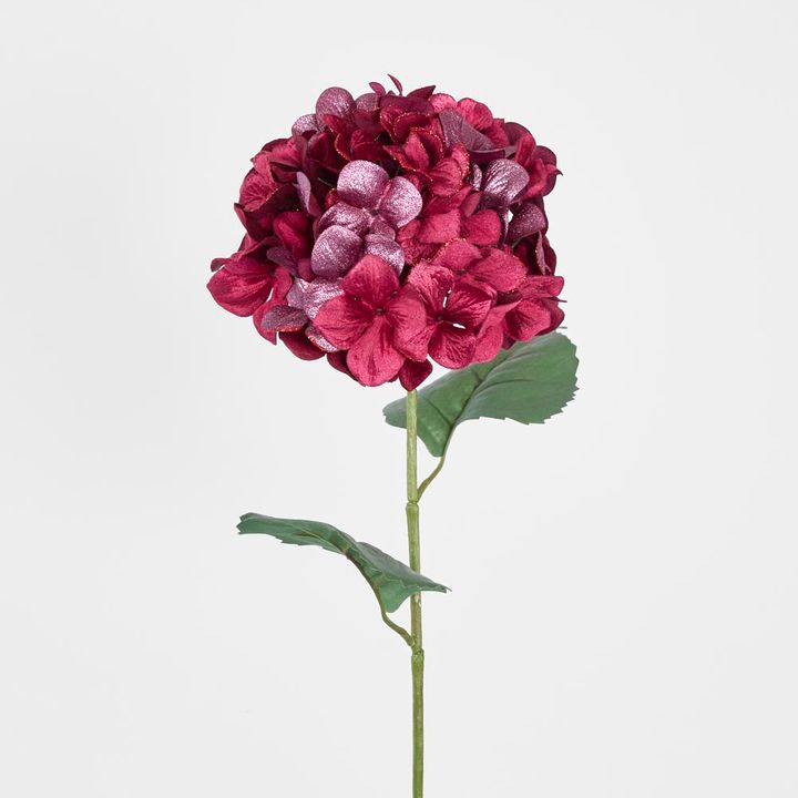 Single Hydrangea with 2 Leaves Burgundy