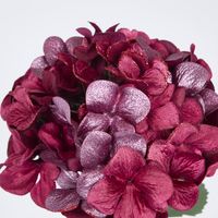 Single Hydrangea with 2 Leaves Burgundy