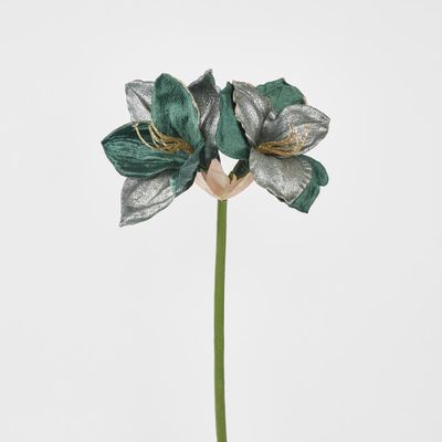 Amaryllis Spray with 2 Flowers Green