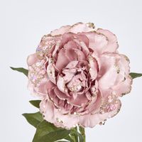 Single Velvet and Glitter Peony Pink