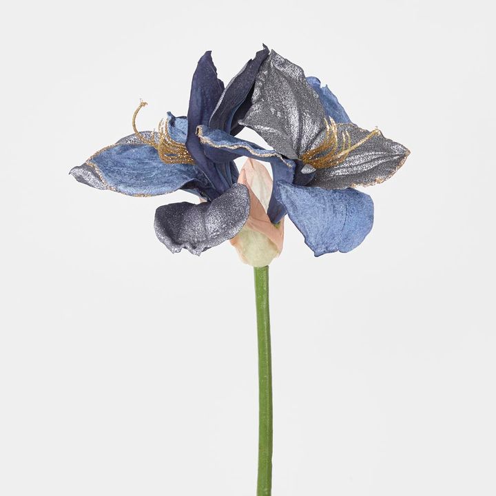 Amaryllis Spray with 2 Flowers Blue