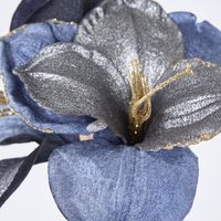 Amaryllis Spray with 2 Flowers Blue