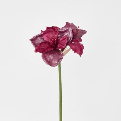 Amaryllis Spray with 2 Flowers Burgundy