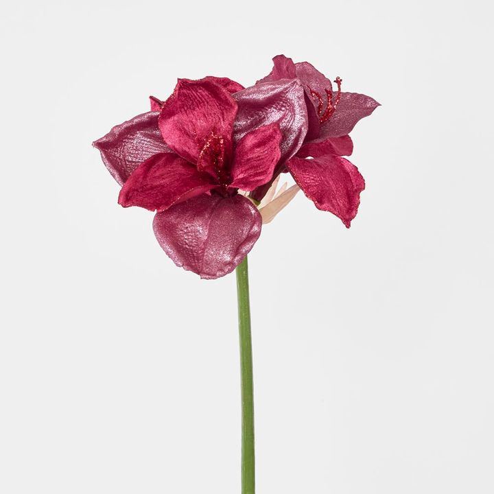 Amaryllis Spray with 2 Flowers Burgundy