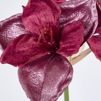 Amaryllis Spray with 2 Flowers Burgundy