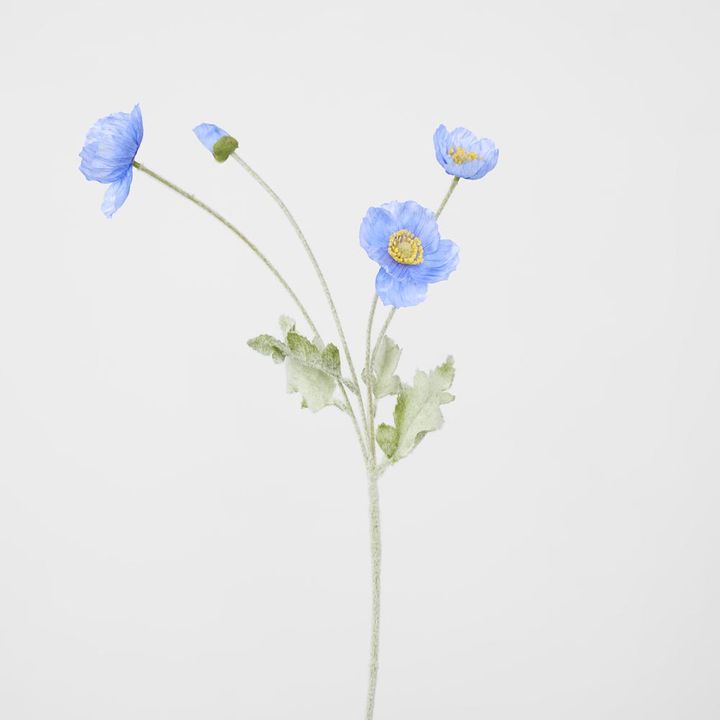 Poppy Spray Blue