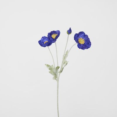 Poppy Spray Dark Blue