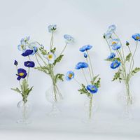 Poppy Spray Light Blue