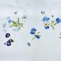 Poppy Spray Light Blue