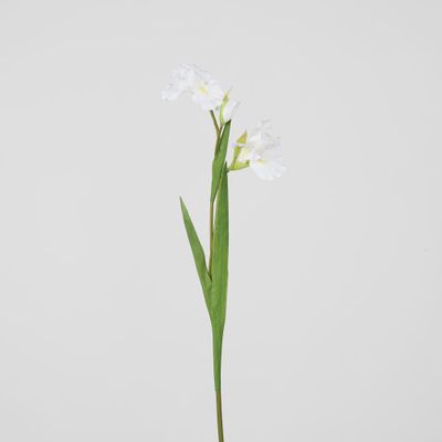 Iris Stem White