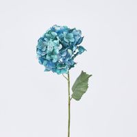 Single Hydrangea with 2 Leaves Teal