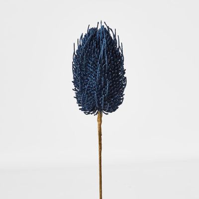 Banksia Glitter Stem Navy Blue