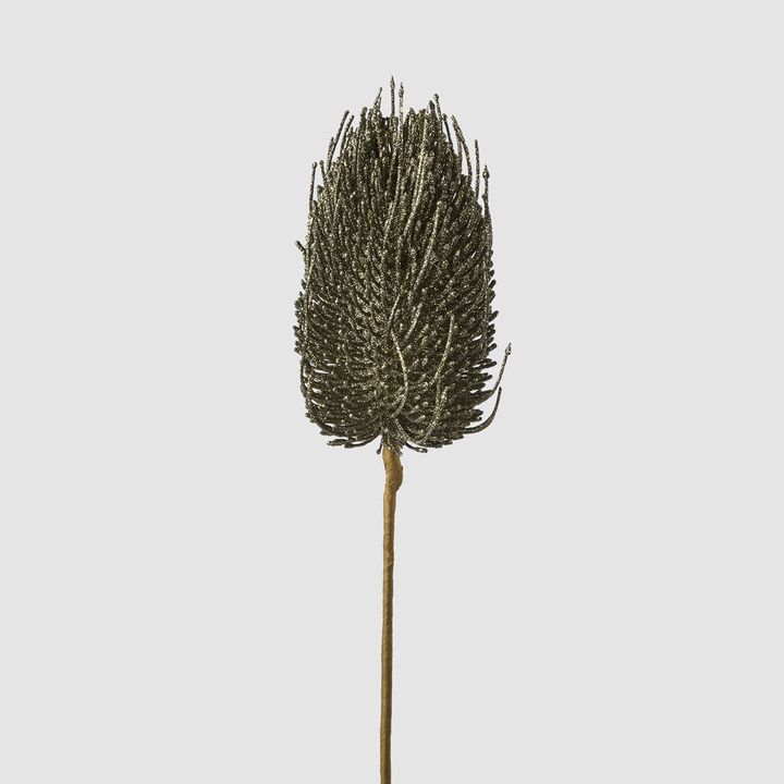 Banksia Glitter Stem Olive Green