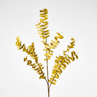 Eucalyptus Stem Yellow